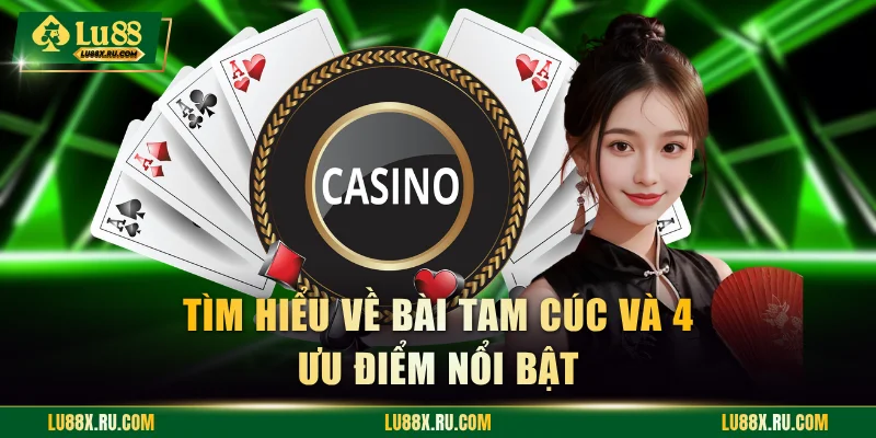 Tìm hiểu về bài tam cúc và 4 ưu điểm nổi bật